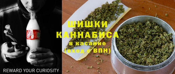крисы Горнозаводск