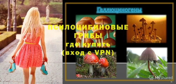 альфа пвп Горняк