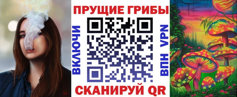 kraken маркетплейс  Нахабино  Псилоцибиновые грибы MAGIC MUSHROOMS  цены наркотик 