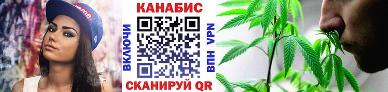 Каннабис конопля Нахабино